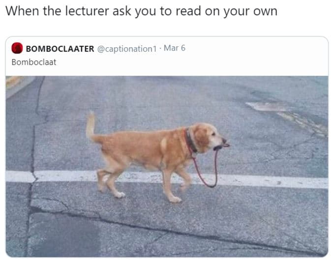 When the lecturer ask you to read on your own bomboclaater captionation1 mar 6 b