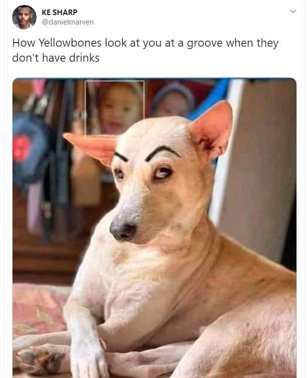 Ke sharp danielmarven how yellowbones look at you at a groove when they don't ha