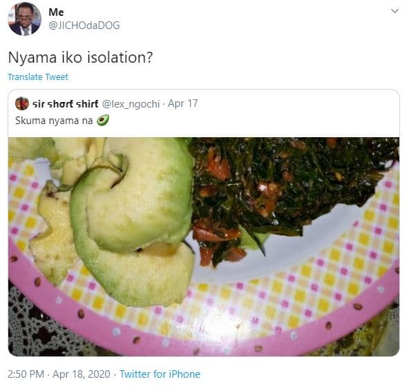 Me jichodadog nyama iko isolation? translate tweet sir shorf shirf lex_ngochi ap