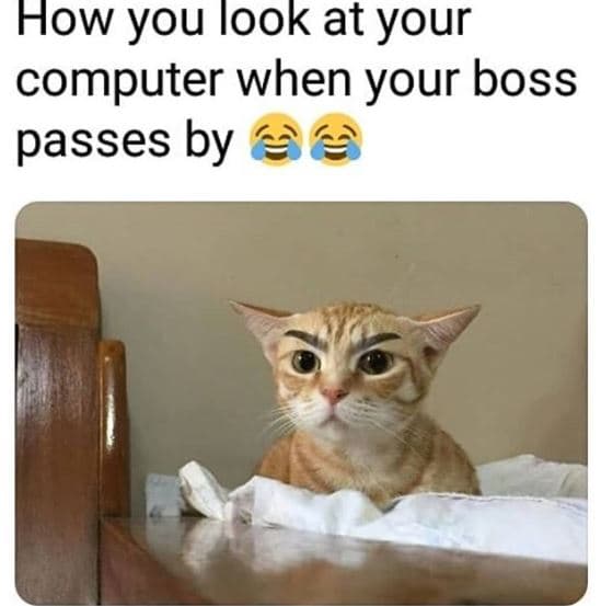 How you look at your computer when your boss passes by