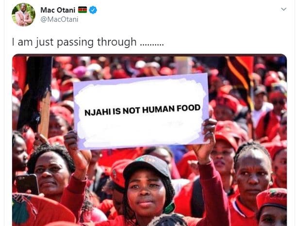 Mac otani macotani am just passing through njahi is not human food