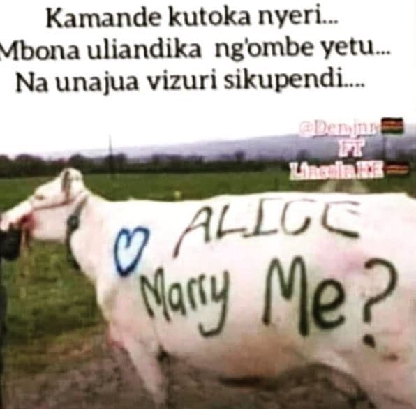 Kamande kutoka nyeri 088 mbona uliandika ng'ombe yetu. o na unajua vizuri sikupe