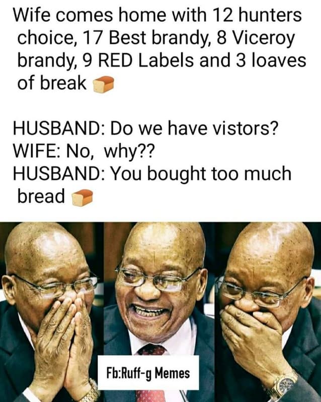 Wife comes home with 12 hunters choice 17 best brandy 8 viceroy brandy 9 red lab