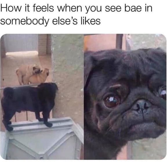 How it feels when you see bae in somebody else's likes