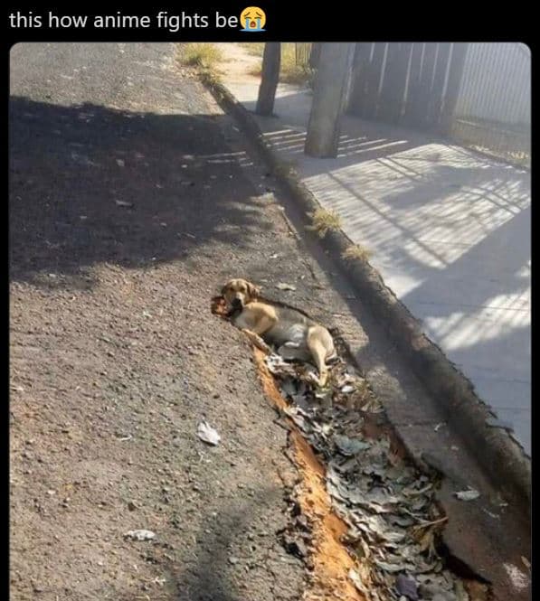 This how anime fights be