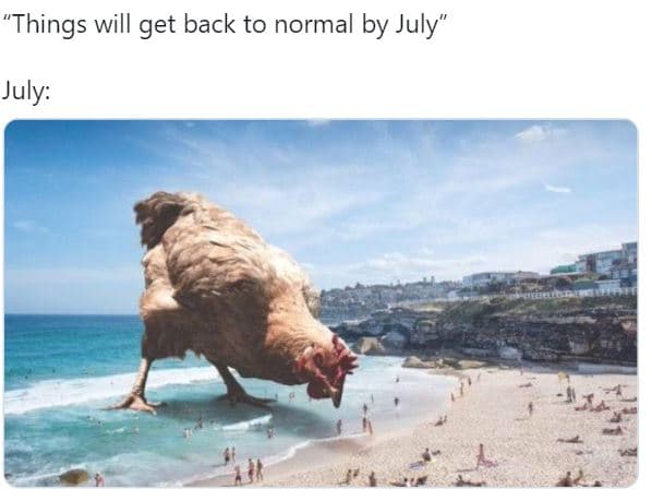 'things will get back to normal by july july