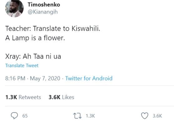 Timoshenko kianangih teacher translate to kiswahili. lamp is a flower . xray ah
