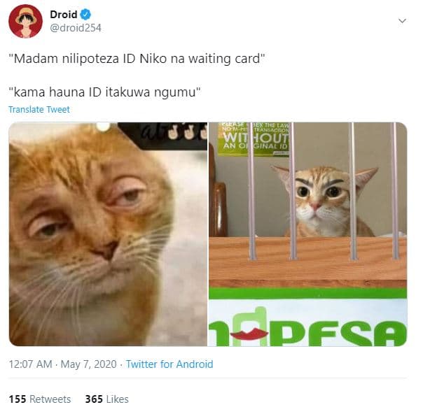 Droid droid254 madam nilipoteza id niko na waiting card kama hauna id itakuwa ng