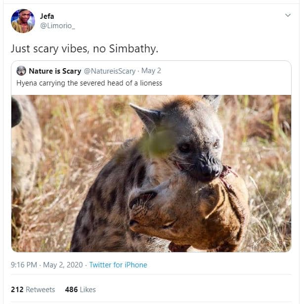 Jefa limorio just scary vibes, no simbathy. nature is scary natureisscary . may