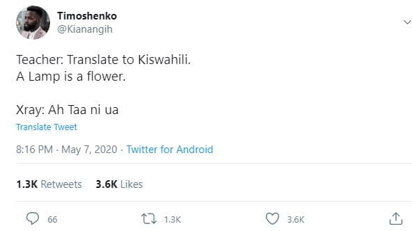 Timoshenko kianangih teacher translate to kiswahili . lamp is a flower. xray ah