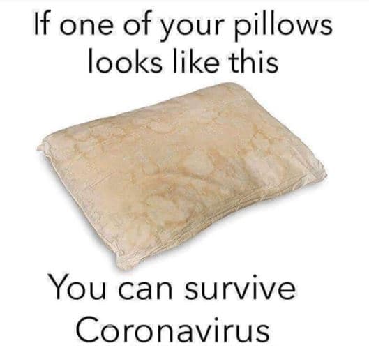 If one of your pillows looks like this you can survive coronavirus