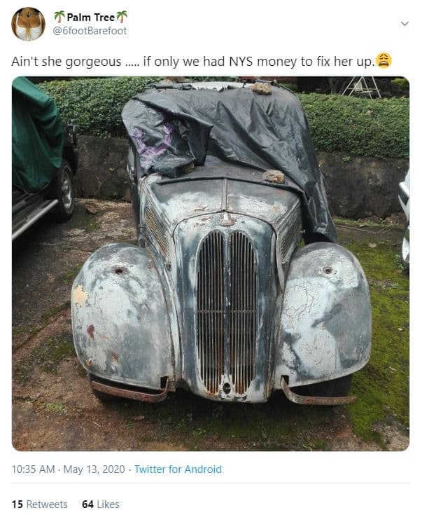 Palm tree 6footbarefoot ain't she gorgeous if only we had nys money to fix her u