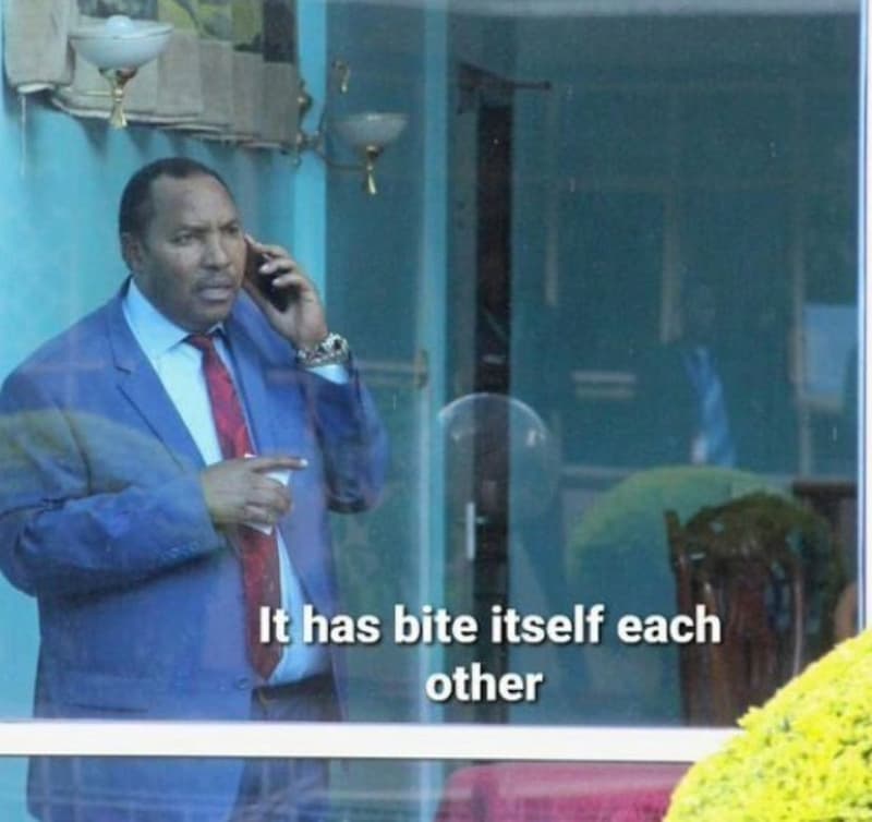 It has bite itself each other