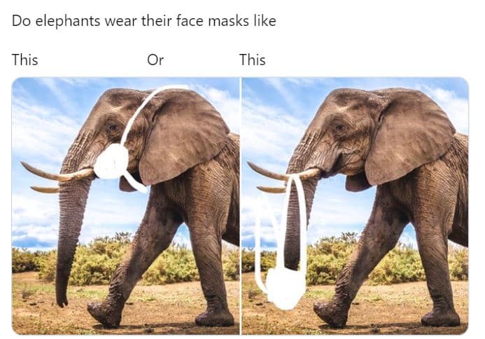 Do elephants wear their face masks like this or this