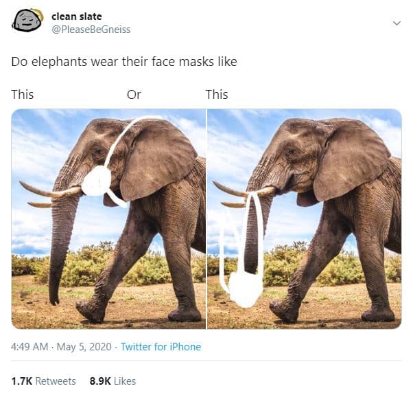 Clean slate pleasebegneiss do elephants wear their face masks like this or this