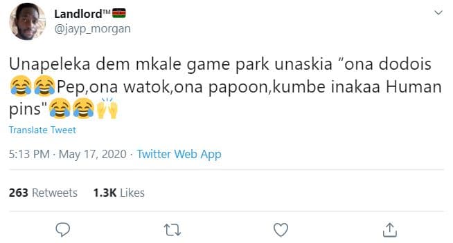 Landlord jayp_morgan unapeleka dem mkale game park unaskia ona dodois pep,ona wa
