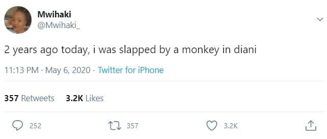 Mwihaki mwihaki 2 years ago today, was slapped by a monkey in diani 11.13 pm may