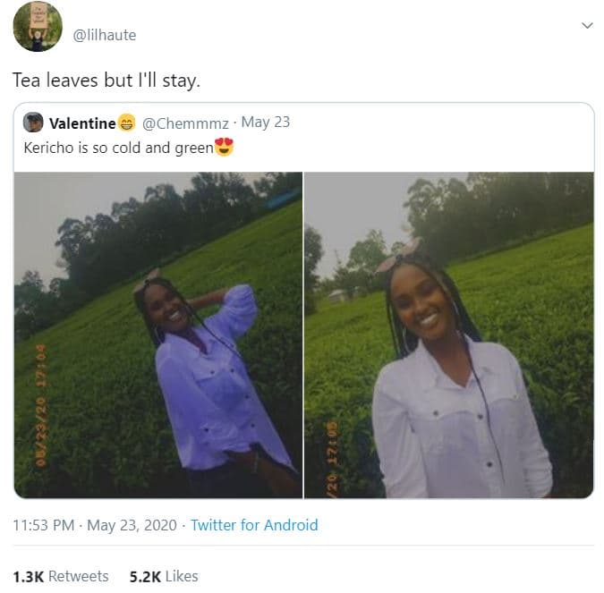 Lilhaute tea leaves but i'il stay. valentine chemmmz may 23 kericho is so cold a