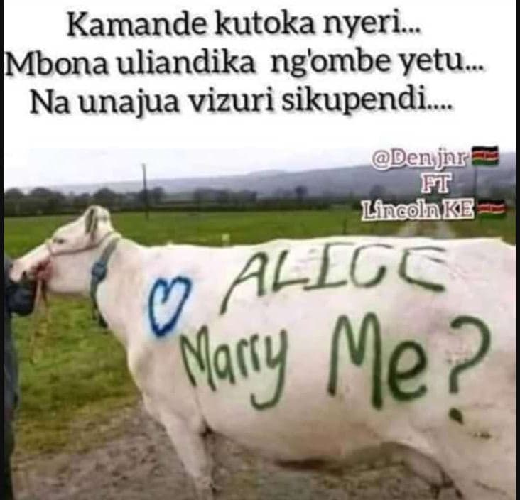 Kamande kutoka nyeri mbona uliandika ng'ombe yetu. na unajua vizuri sikupendi de
