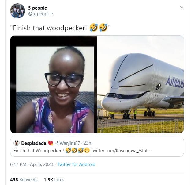 5 people 5_peopl_e 'finish that woodpecker!! despiadada wanjiru87 . 23h finish t