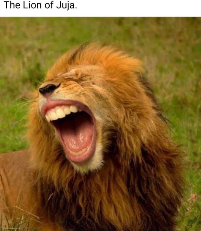 The lion of juja.