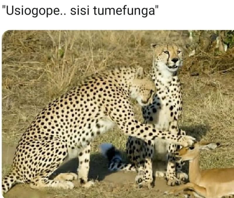 Usiogope. sisi tumefunga'