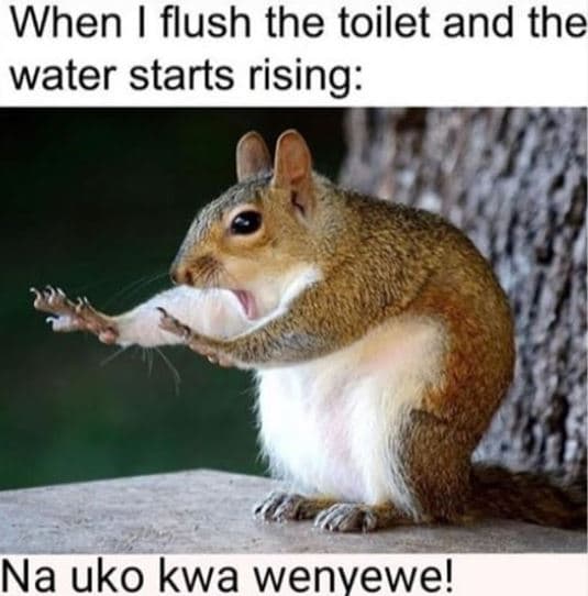 When flush the toilet and the water starts rising na uko kwa wenvewe!