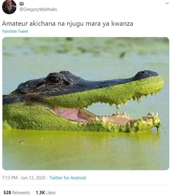 Gregorywaithaks amateur akichana na njugu mara ya kwanza translate tweet 7.13 pm