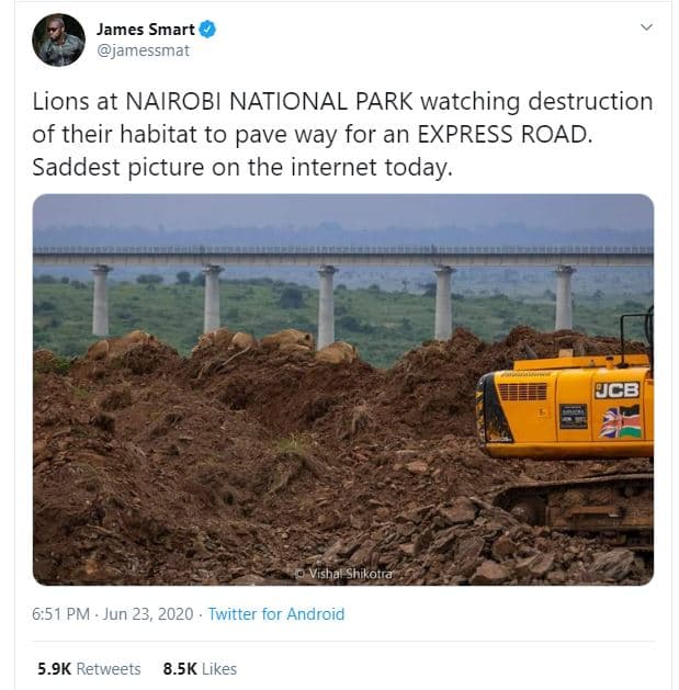 James smart jamessmat lions at nairobi national park watching destruction of the