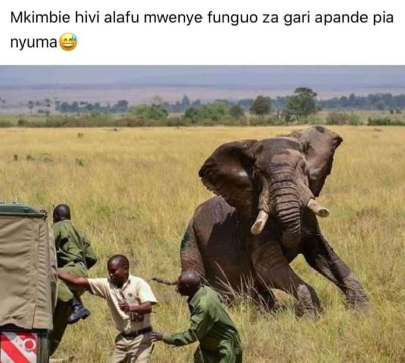 Mkimbie hivi alafu mwenye funguo za gari apande pia nyuma
