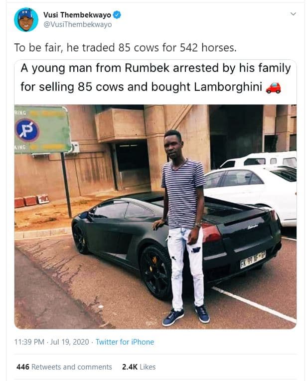 Vusi thembekwayo vusithembekwayo to be fair, he traded 85 cows for 542 horses. a