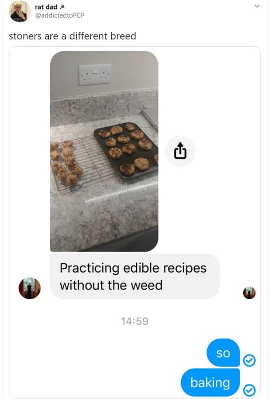 Rat dad addictedtopcp stoners are a different breed practicing edible recipes wi