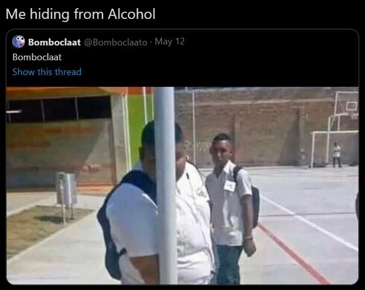 Me hiding from alcohol bomboclaat bomboclaato ' may 12 bomboclaat show this thre