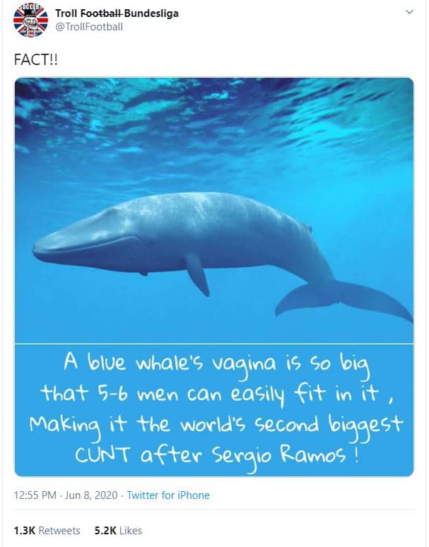 Troll footballbundesliga trollfootball facti! blue whale's vagina i5 50 big that