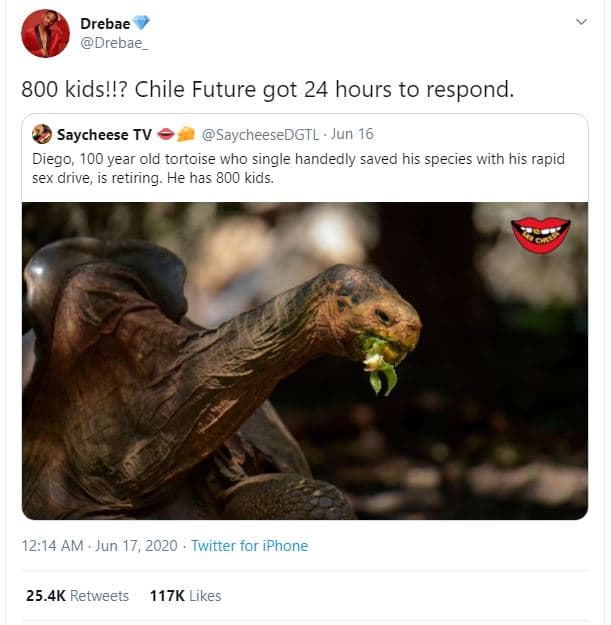 Drebae drebae 800 kids'!? chile future got 24 hours to respond. saycheese tv say