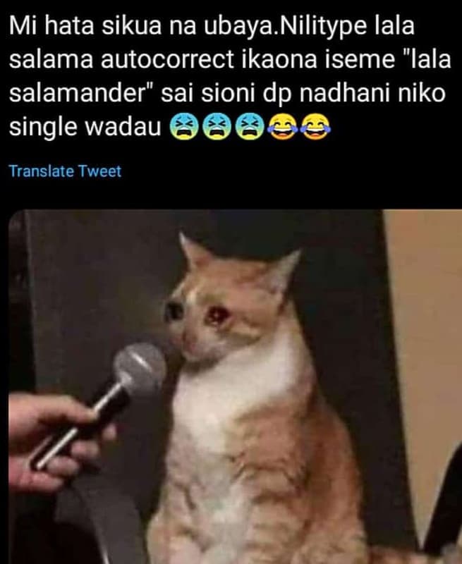 Mi hata sikua na ubaya nilitype lala salama autocorrect ikaona iseme lala salama