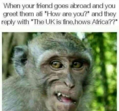 When your iriend goes abroad and you greet ihemn ali 'how are you? and ihey repl