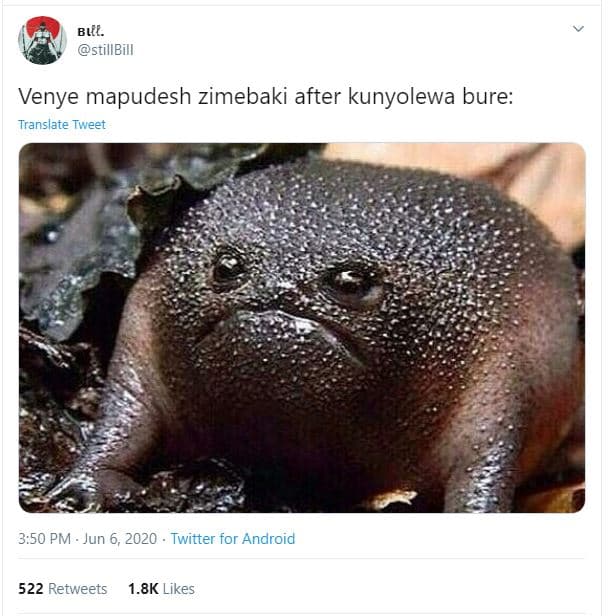 Bıl. stillbill venye mapudesh zimebaki after kunyolewa bure translate tweet 3.50