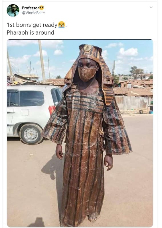 Professor vinniebaite ist borns get ready pharaoh is around