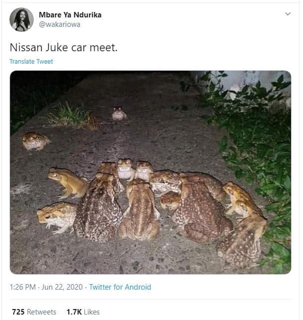 Mbare ya ndurika wakariowa nissan juke car meet. translate tweet 1.26 pm jun 22,