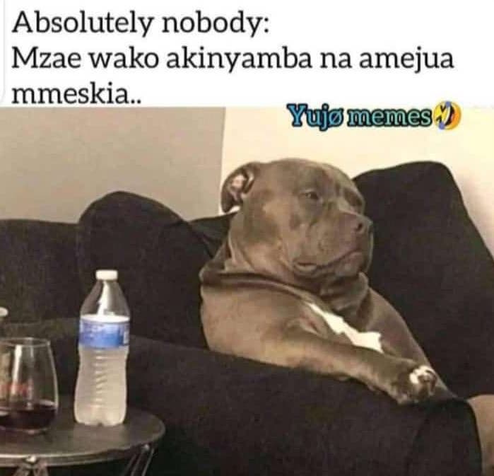 Absolutely nobody mzae wako akinyamba na amejua mmeskia.. yujomemes