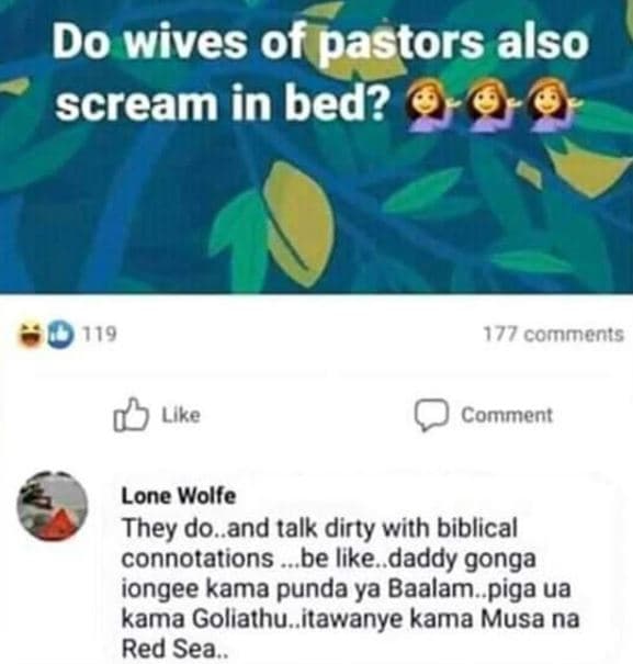 Do wives of pastors also scream in bed? 119 177 comments llke comment lone wolfe