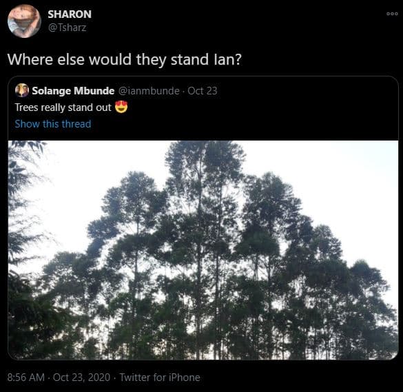 Sharon isharz where else would they stand ian? solange mbunde ianmbunde oct 23 t