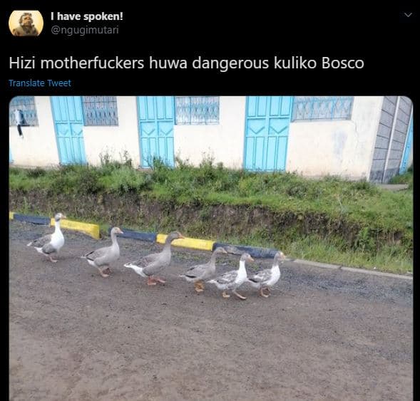 1 have spoken! ngugimutari hizi motherfuckers huwa dangerous kuliko bosco transl
