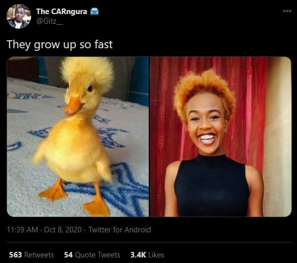 The carngura gitz_ they grow up so fast 11.39 am oct 8, twitter for android 563