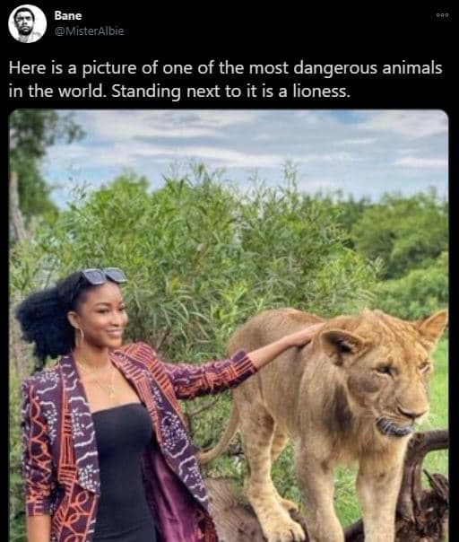 Bane misteralbie here is a picture of one of the most dangerous animals in the w