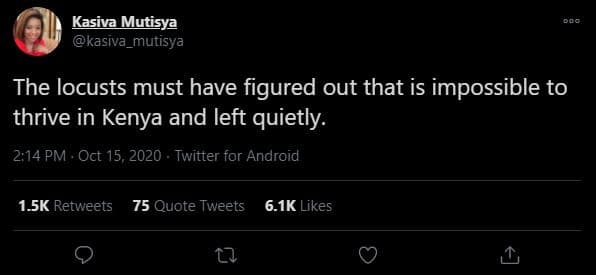 Kasiva mutisya kasıva_mutisya the locusts must have figured out that is impossib