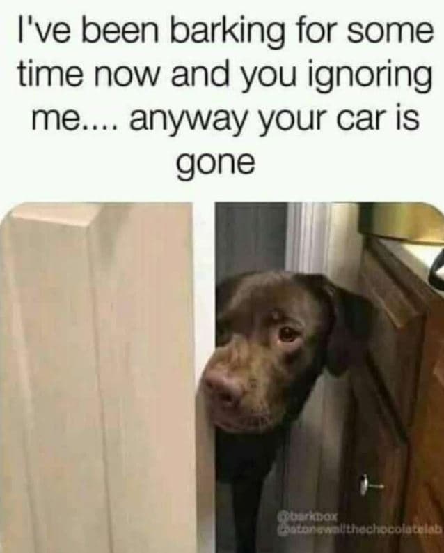 I've been barking for some time now and you ignoring me. anyway your car is gone