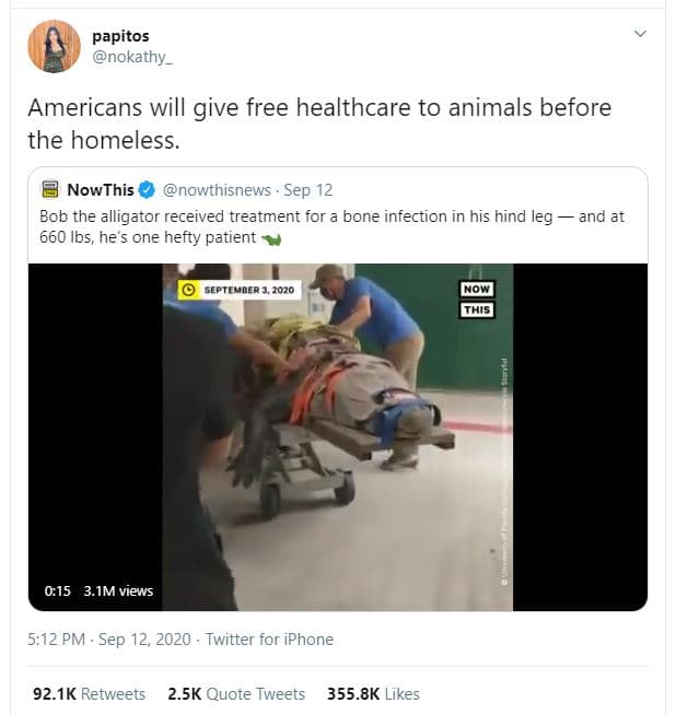 Papitos nokathy _ americans will give free healthcare to animals before the home