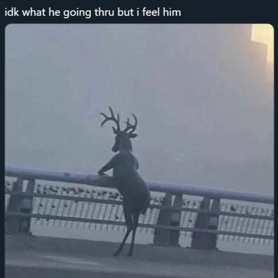 Idk what he going thru but i feel him